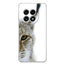 Чехлы с картинками животных OnePlus 13 (Рысь)
