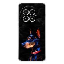 Чехлы с картинками животных OnePlus 13 (Собака)