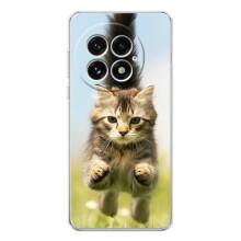 Чохли з Котиками для OnePlus 13 (VPrint)