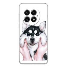 Чохли з собаками для OnePlus 13 (VPrint) (Радісний Хаскі)