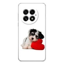 Чохли з собаками для OnePlus 13 (VPrint) (Песик)