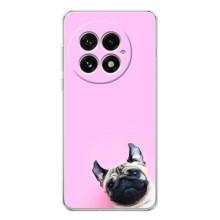 Чохли з собаками для OnePlus 13 (VPrint) (Смішна собака)
