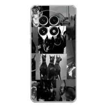 Чохол ДОБЕРМАН  для OnePlus 13 (Колаж Доберман)
