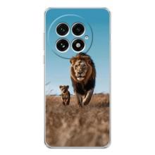 Чохол Король лев на ВанПлас 13 – Мусафа і Сімба