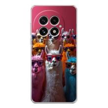 Чехол с принтом стильные животные для ВанПлас 13 (Ламы в очках)