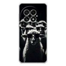 Чехол с принтом стильные животные для ВанПлас 13 (Овечка в очках)