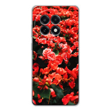 Чехлы с Цветами для OnePlus 13R (VPrint) (Цветы красные)