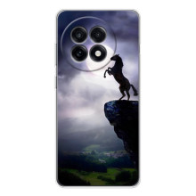 Чехлы с изображением разных животных для OnePlus 13R (Лошадь)