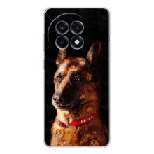 Чохли з картинкою животних OnePlus 13R (Овчарка)