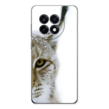 Чохли з картинкою животних OnePlus 13R (Рись)