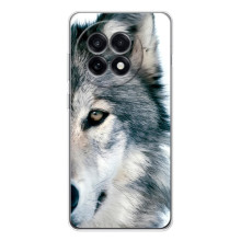 Чохли з картинкою животних OnePlus 13R (Вовк)