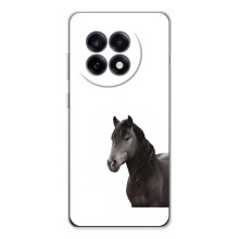 Чехлы с Лошадью дляOnePlus 13R (VPrint) (Чорний кінь)