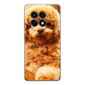 Чохли з собаками для OnePlus 13R (VPrint)