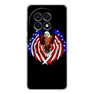 Чохол Прапор USA для OnePlus 13R – Крила США