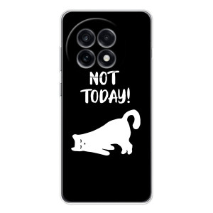 Бампер с изображением Котиков для 13R – Not Today