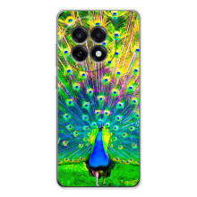 Чохол з пташками на OnePlus 13R (VPrint) (Яскравий Павлин)