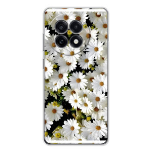 Чехол с ромашками на OnePlus 13R – Рамка в ромашках