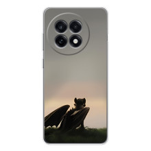 Чехол как приручить дракона на OnePlus 13R (Беззубик)