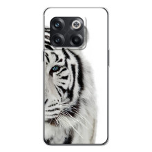 Чехлы с картинками животных OnePlus 13s (Белый Тигр)