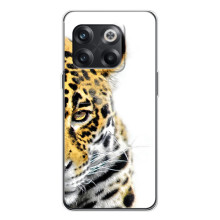 Чехлы с картинками животных OnePlus 13s (Леопард)