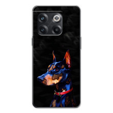 Чехлы с картинками животных OnePlus 13s (Собака)