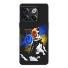 Чехлы с картинкой собаки Патрон для OnePlus 13s (AlphaPrint) – Патрон собачка