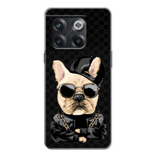 Чехлы с крутыми принтами для OnePlus 13s - (PREMIUMPrint) (Стильная собака)