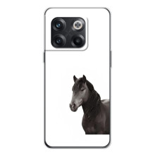 Чехлы с Лошадью дляOnePlus 13s (VPrint) (Черный Конь)