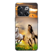 Чехлы с Лошадью дляOnePlus 13s (VPrint) (Лошадки)