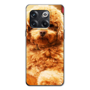 Чохли з собаками для OnePlus 13s (VPrint)