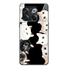 Чехол на 13с с Котами (VPrint) (Взгляд котов)