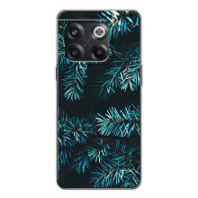 Чехол Новогодняя Елка на OnePlus 13s (Ель)