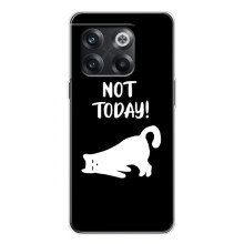 Бампер с изображением Котиков для 13с (Not Today)