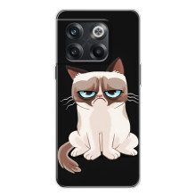 Чохол з принтом для OnePlus 13s (AlphaPrint) Модні коти (Сумний кіт)