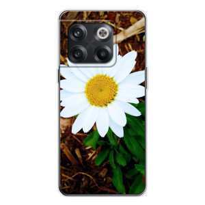 Чехол с ромашками на OnePlus 13s – Белая ромашка