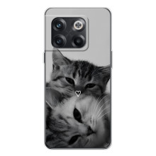 Чехол с рисунком кот на OnePlus 13s – Пара котов