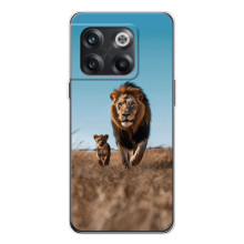 Чохол Король лев на 13с – Мусафа і Сімба