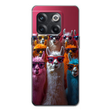 Чехол с принтом стильные животные для 13с – Ламы в очках