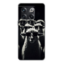 Чехол с принтом стильные животные для 13с – Овечка в очках