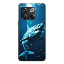Чехол с картинкой «Хищники» для OnePlus 13s – Акула