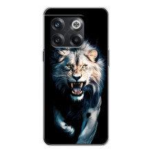 Чехол с картинкой «Хищники» для OnePlus 13s – Лев