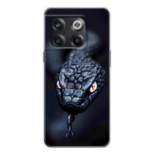 Чехол с картинкой «Хищники» для OnePlus 13s – Змея