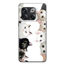 Силиконовый чехол с котиком для OnePlus 13s – Коты