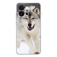 Чехол с Волком на OnePlus 13T – Волк на снегу