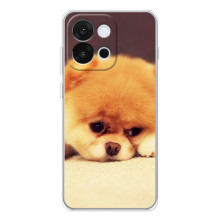 Чехол (ТПУ) Милые собачки для OnePlus 13T – Померанский шпиц