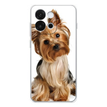 Чехол (ТПУ) Милые собачки для OnePlus 13T – Собака Терьер