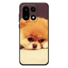 Чохол (ТПУ) Милі песики для OnePlus 15 (Померанский шпіц)