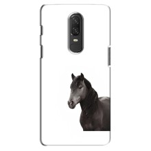 Чехлы с Лошадью дляOnePlus 6 (VPrint) (Черный Конь)