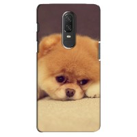 Чехол (ТПУ) Милые собачки для OnePlus 6 – Померанский шпиц