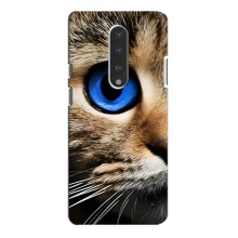 Чехлы с Котиками для OnePlus 7 Pro (VPrint) (Глаз кота)